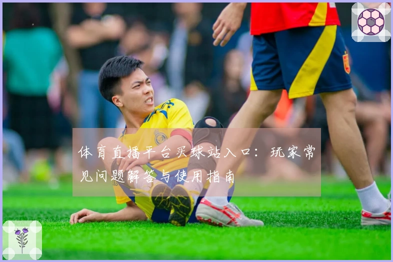 体育直播平台买球站入口：玩家常见问题解答与使用指南