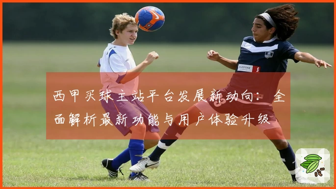 西甲买球主站平台发展新动向：全面解析最新功能与用户体验升级