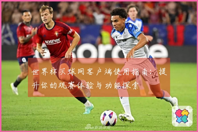 世界杯买球网客户端使用指南：提升你的观赛体验与功能探索