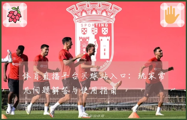 体育直播平台买球站入口：玩家常见问题解答与使用指南