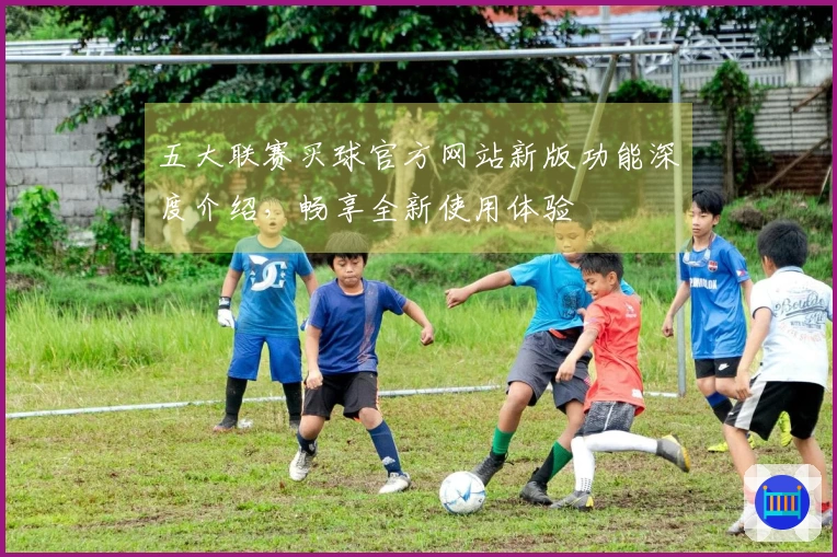 五大联赛买球官方网站新版功能深度介绍，畅享全新使用体验