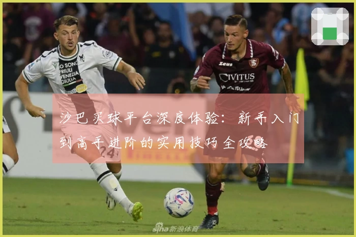 沙巴买球平台深度体验：新手入门到高手进阶的实用技巧全攻略